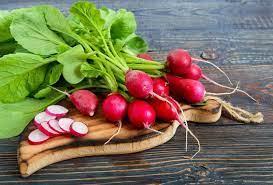 جذور وأوراق الفجل لتعزيز صحة الأمعاء ومضادات الالتهاب