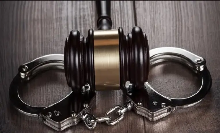 المستشار رأفت عياد