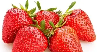 طبق فراولة طازجة مليء بالعناصر الغذائية الأساسية لدعم المناعة والقلب والبشرة