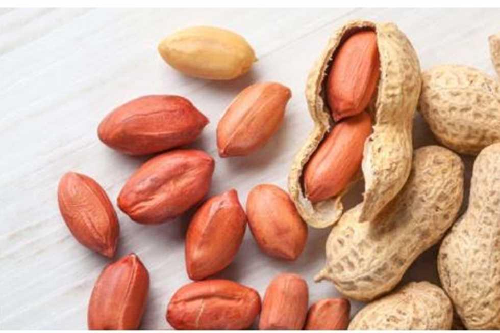 طفل يضع رقعة علاجية للفول السوداني للوقاية من الحساسية