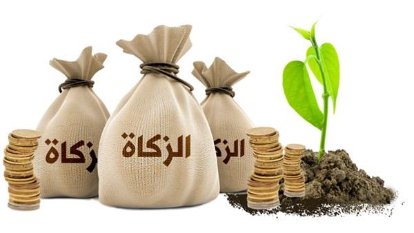 توضيح أحكام زكاة المحال التجارية وأموال البنوك وفق فتاوى دار الإفتاء المصرية.
