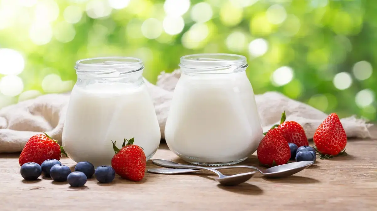 فوائد الزبادي للبروبيوتيك وصحة الجهاز الهضمي