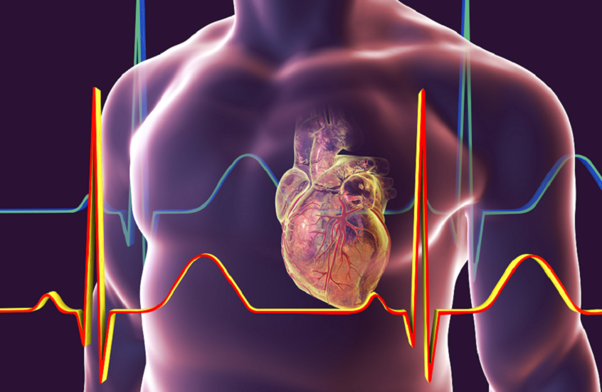 دواء كولشيسين وتأثيره الوقائي على أمراض القلب