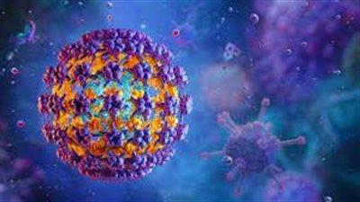 تسجيل وفيات جديدة بفيروس ماربورغ في إثيوبيا وتكثيف الإجراءات الصحية