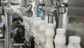 لقاح تجريبي شامل لأنفلونزا الطيور من تطوير باحثين في جامعة إيراسموس