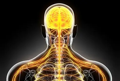 علاج جديد بالخلايا التائية المعدلة وراثيًا قد يوقف تطور التصلب المتعدد