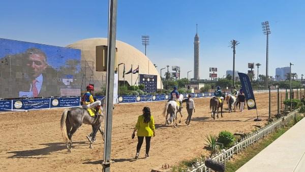 خيول عربية أصيلة تتنافس على مضمار نادي الجزيرة ضمن سباقات كأس رئيس دولة الإمارات