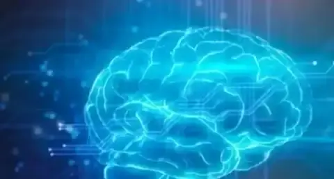 العلماء يكتشفون الحاسة السادسة التي تربط الدماغ بالأعضاء الداخلية