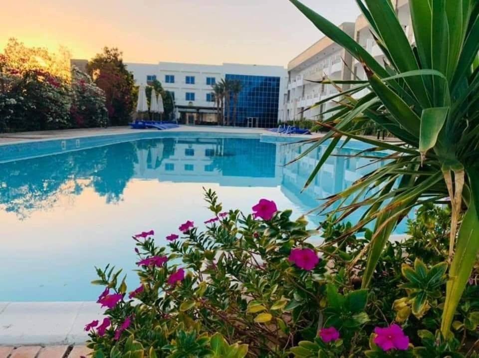 Real estate investment and property management in Hurghada