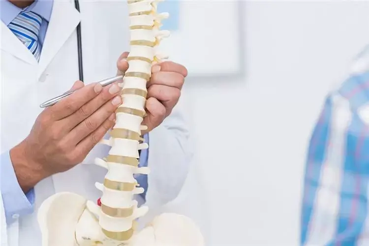 تثبيت الفقرات