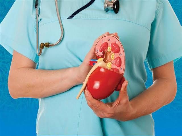 علاج حصوات الكلى والحالب