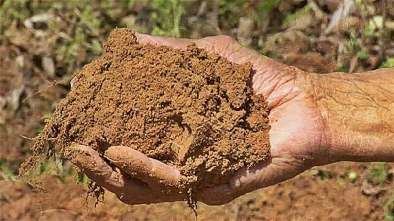 تفسير حلم أكل الطين فى المنام