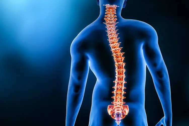 علاج انحناء الظهر في المهندسين 