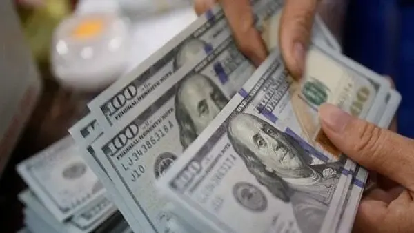 ضبط العملات الأجنبية