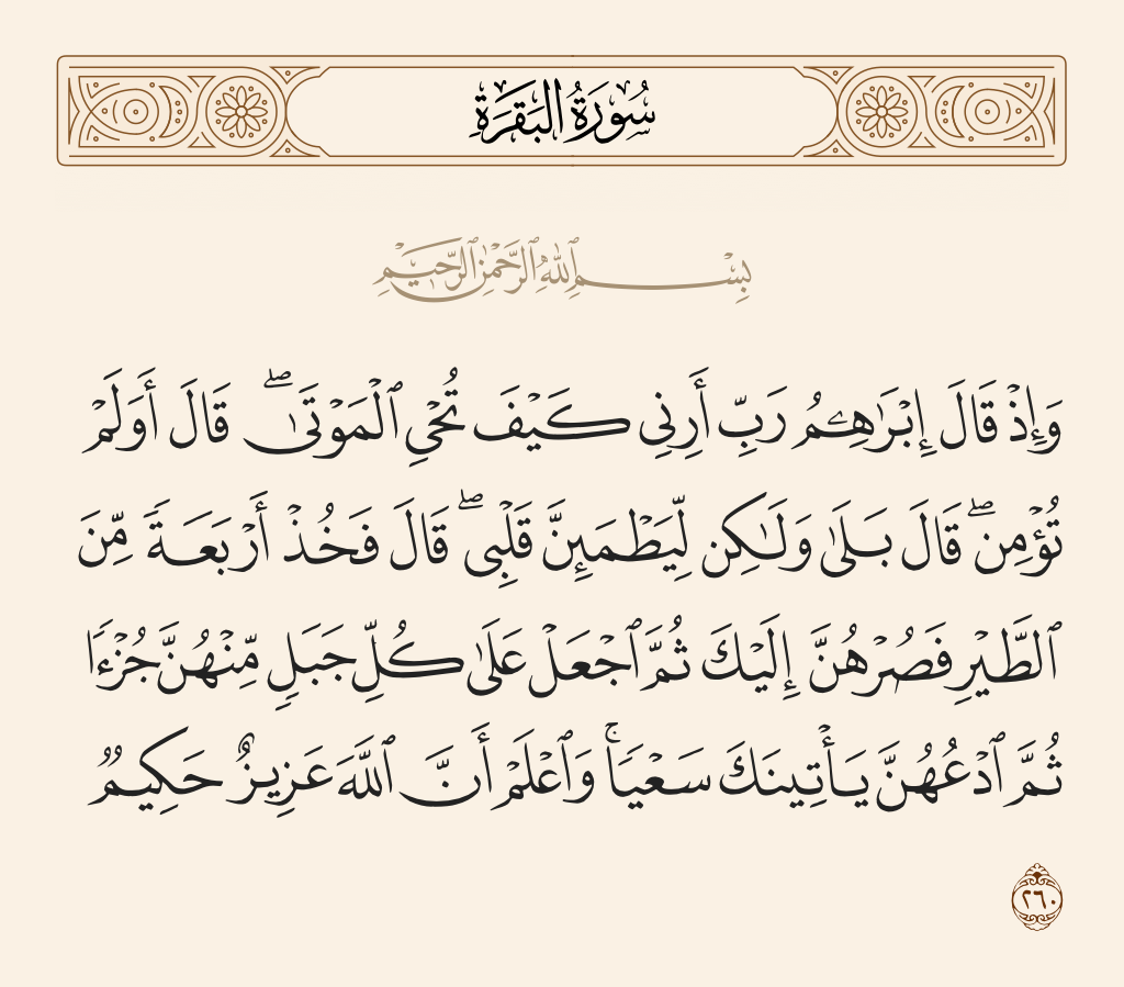 سورة البقرة 