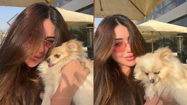 سارة سلامة بإطلالة كاجوال وهي تحتضن كلبها في أحدث ظهور عبر إنستجرام