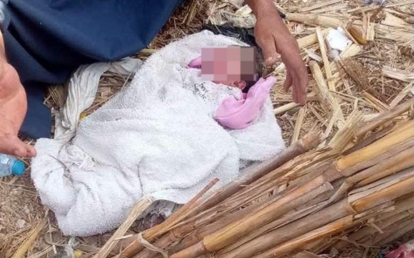 طفلة حديثة الولادة في القمامة