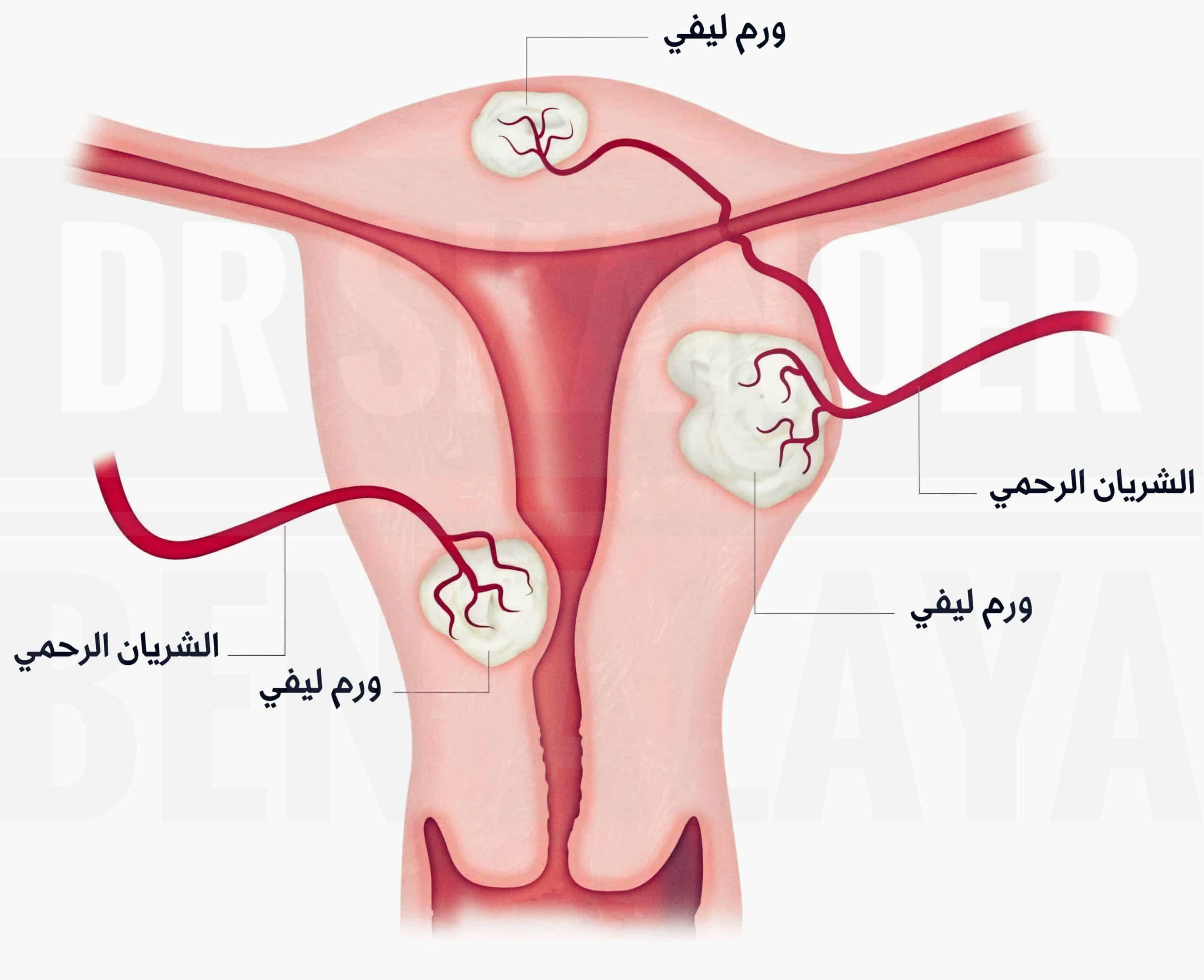 الدكتور عمرو مصطفى صالحين استشاري النساء والتوليد وجراحة أورام الرحم بالمنظار