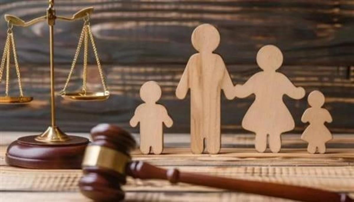 Family Law Lawyer in Damietta