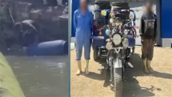 المتهمان
