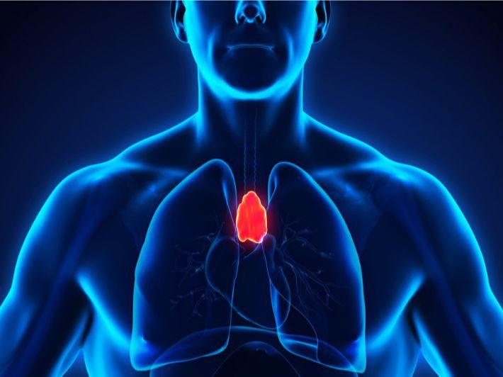 عملية استئصال الغدة التيموسية بأحدث تقنيات المنظار الصدري في الجيزة