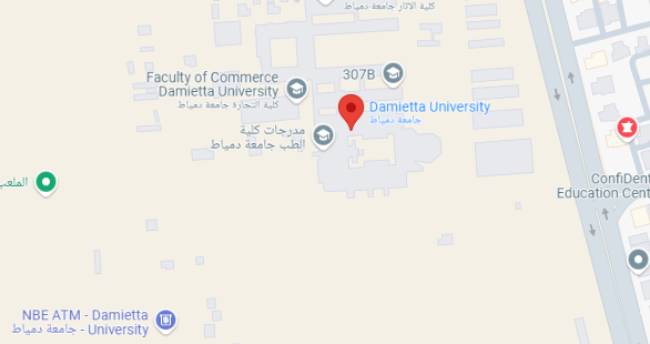جامعة دمياط