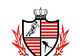 نادي بلدية المحلة