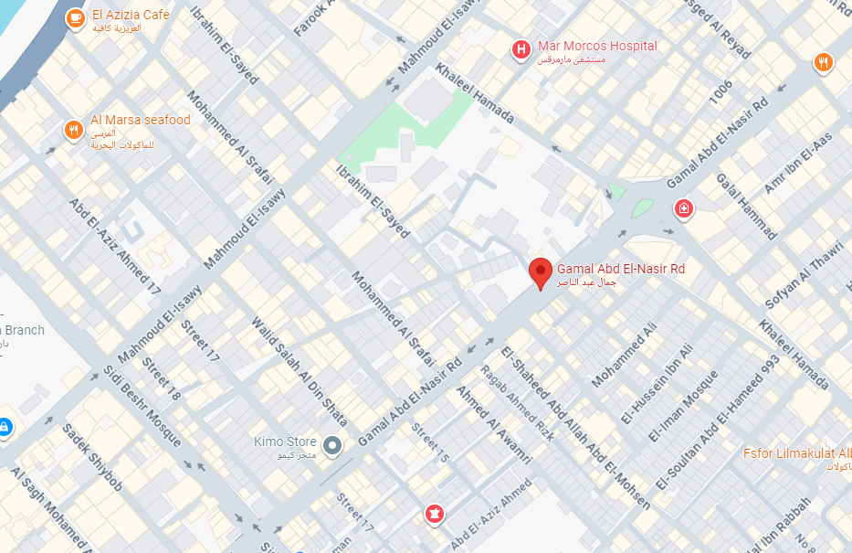 المستشار أحمد نعيم