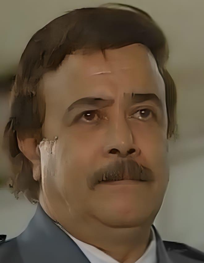 حامد ونيس 