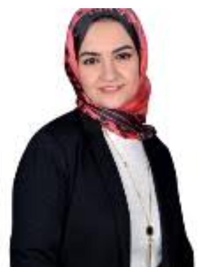 Doctor Hanaa Mabrouk El-Sheikh