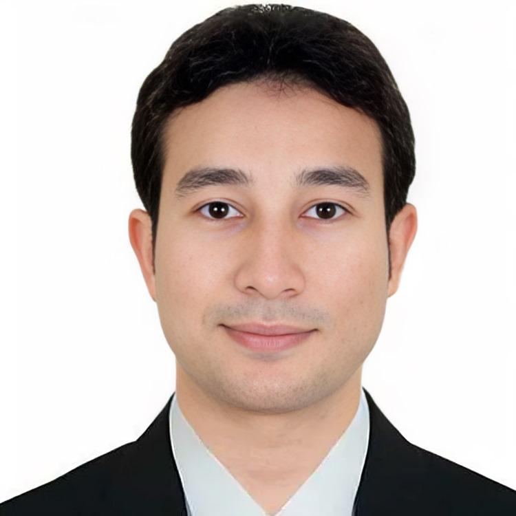 المستشار شريف حمزاوي