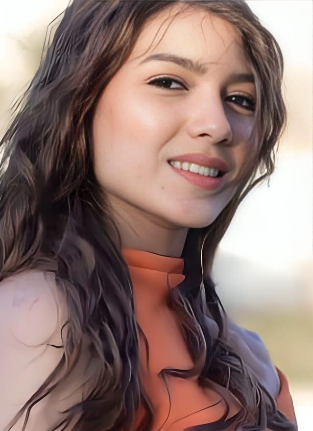 Hend El Shafei