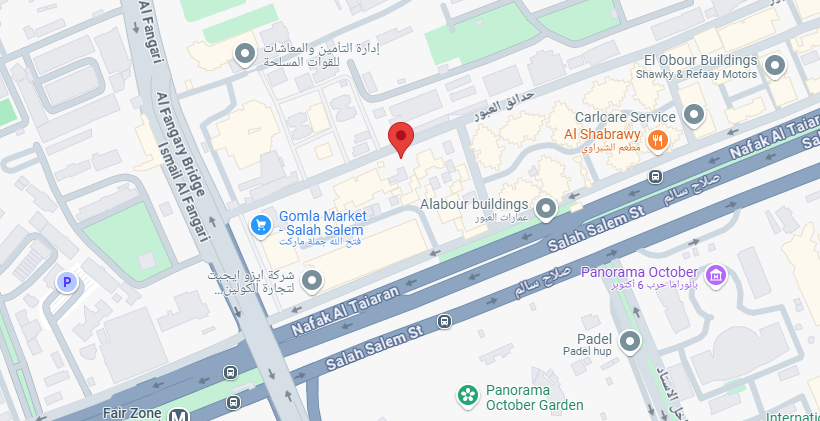 د. محمد حنفي محمود