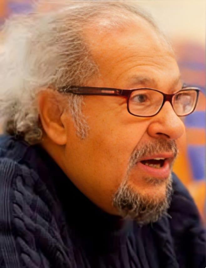 Hanaa Abdel Fattah