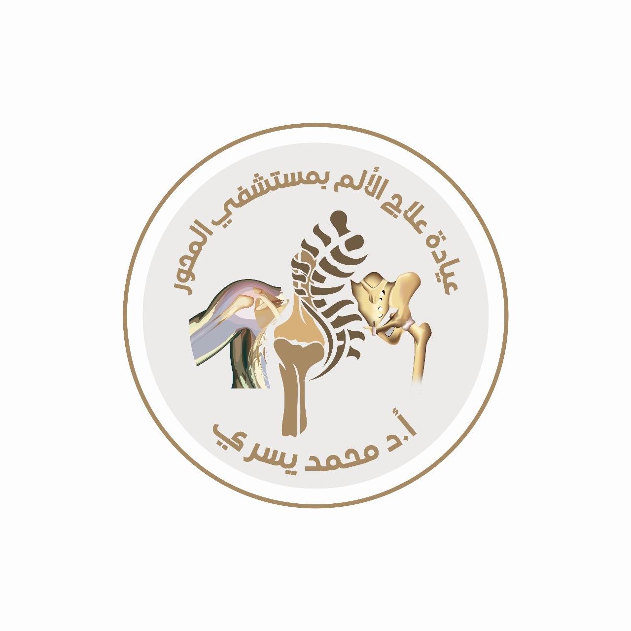 الاستاذ الدكتور محمد يسري