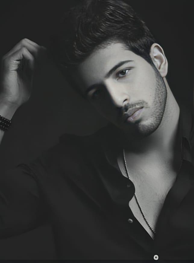 محمود عمرو ياسين