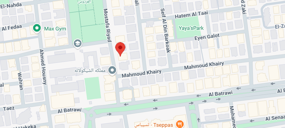 المستشار ناصر الضوي